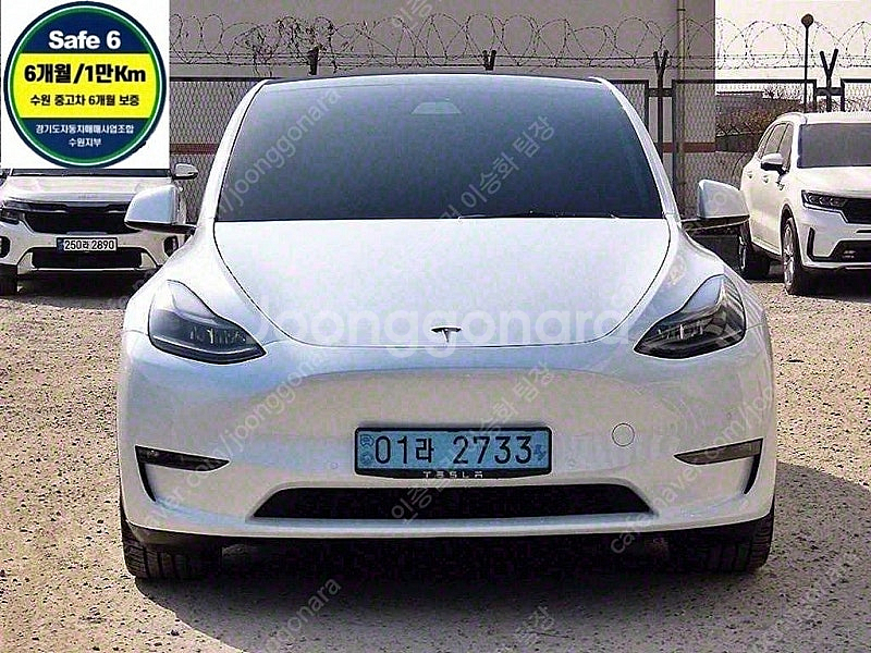 44,648 km 테슬라 모델Y 중고 테슬라 중고 퍼포...--0
