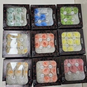 택포400000 프리저빙 프리저브드 플라워 장미 카네이션 국화 케논 로즈 촬영 꽃 생화 디퓨저 드라이 꽃다발 소품 꽃집 담례품 선물 시계 향 리본 박스 꽃자재