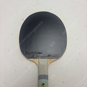 보르카 fe zlc 이너포스 + 라잔터 r50 2.0