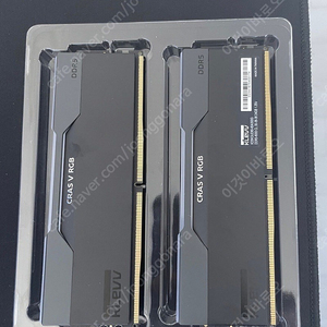 ESSENCORE KLEVV DDR5-6000 CL30 블랙 서린 48gb(24g x 2)