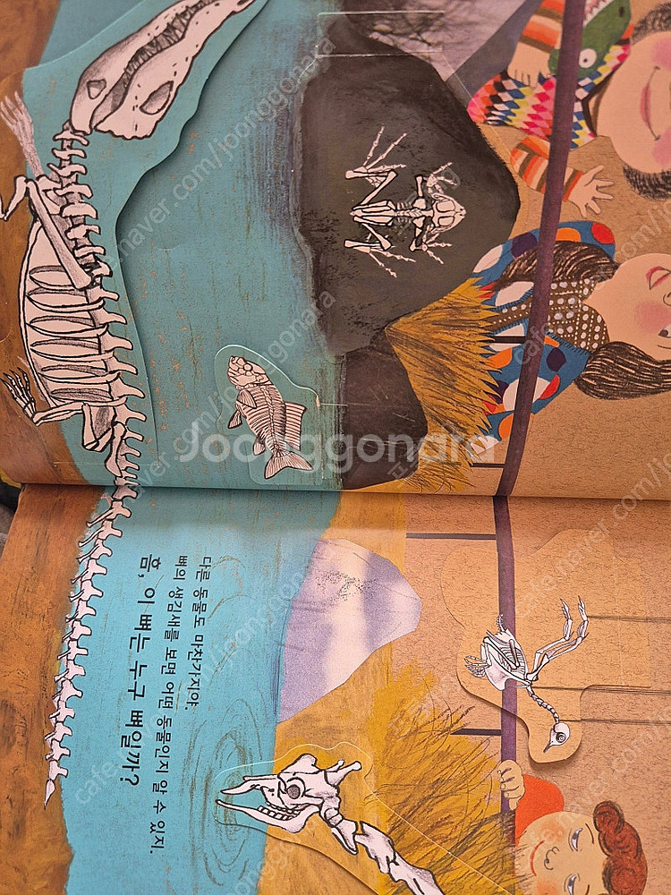 내친구과학공룡 48권, 스티커 포함(택배비포함)--4