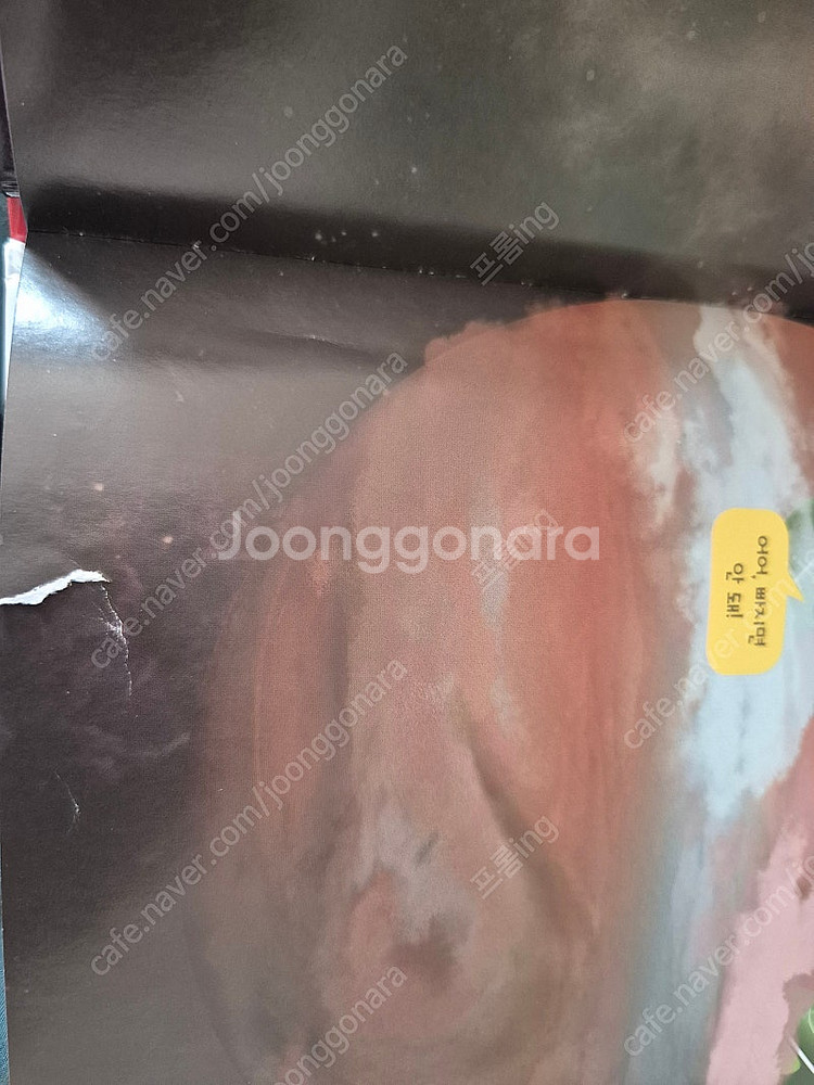 내친구과학공룡 48권, 스티커 포함(택배비포함)--8