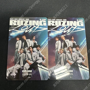 라이즈 콘서트 첫콘 중콘 막콘 스탠딩 ,지정석 연석 명당 자리 양도합니다