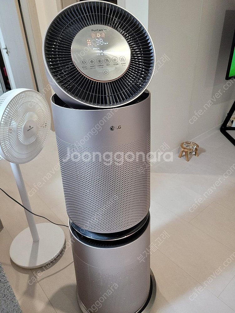 LG퓨리케어 2단 공기청정기 펫케어 AS301DRPA ...--2