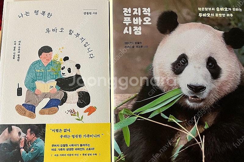 푸바오 인형 굿즈 일괄판매--0