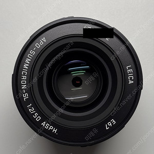 LEICA SL APO Summicron 50mm F/2 판매 (라이카 SL 아포 주미크론 50mm)
