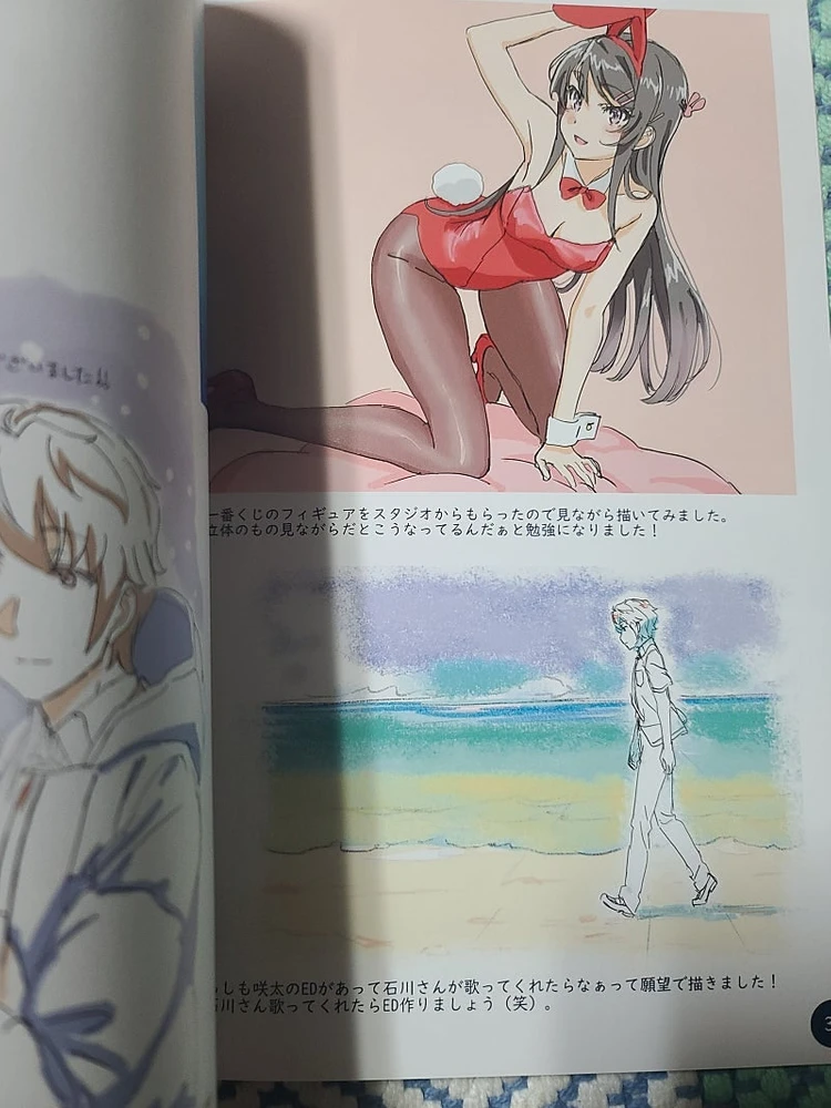 청춘돼지 코미케(c99) 타무라 사토미 수고했어 일러스트 북 팝니다 이미지