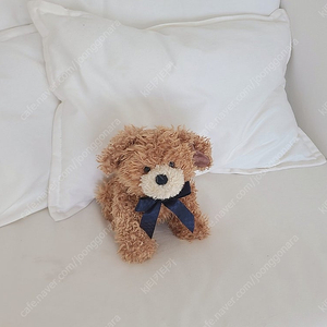 보이즈베어 빈티지 리본 강아지 인형 고전 테디베어 소품