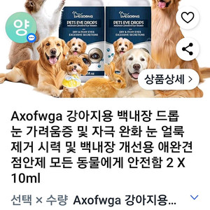 강아지백내장 안약