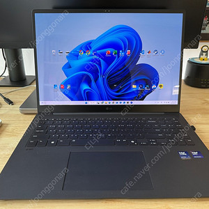 LG 그램 프로 16Z90TP-KD7BK(구매가 256만 원)