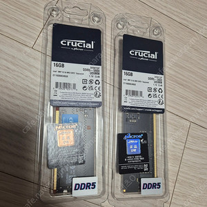 마이크론 Crucial DDR5-5600 16GB
