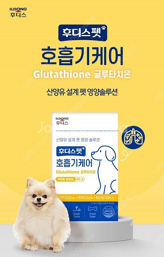 [새제품] 후디스펫 강아지 호흡기케어 영양제 / 산양유...--3