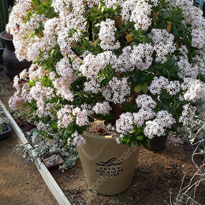 농사용 전기온풍기 9kw(가격 다운)