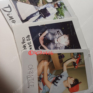 세븐틴 디노 폴라로이드형 포카 일괄 판매