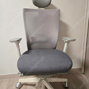 시디즈 T50 HLDA 화이트쉘