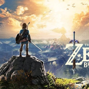 [삽니다]실드+dlc 합본, 바이올렛+dlc 합본, 젤다 야숨 합본