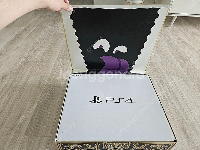 PS4 힌정판 로토 에디션 상태 최상급--2