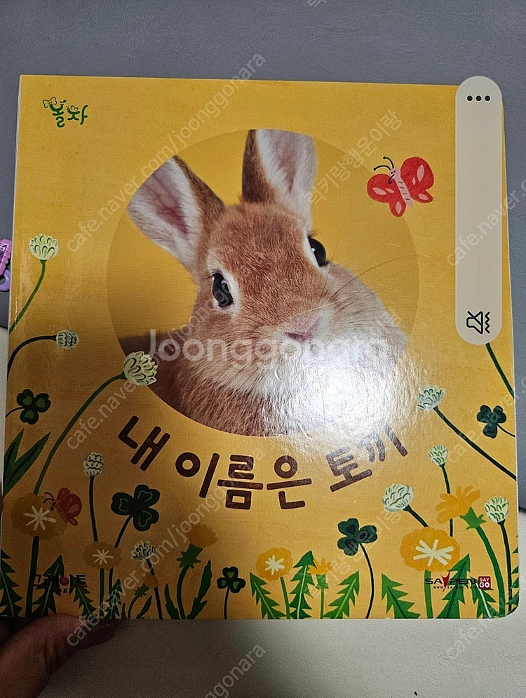 그레이트북스 놀라운자연--4