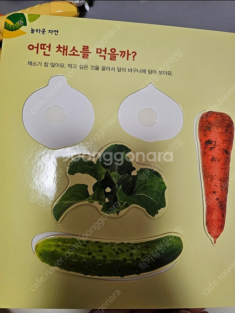 그레이트북스 놀라운자연--8