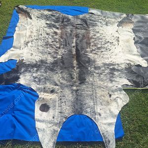 천연 송치 소가죽 러그 카페트 2m50cm