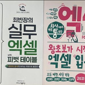최빈장 실무 엑셀 피벗테이블 왕초보 엑셀 입문서