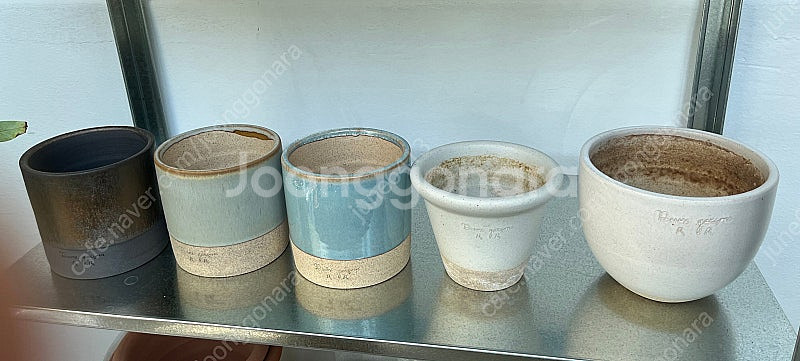 두갸르송--0