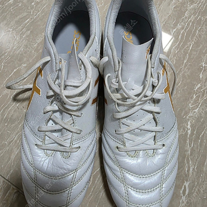 (260) 아식스 ds light pro ag