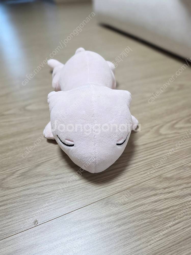 포켓몬 인형 외--1