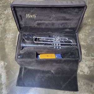 트럼펫 Bach Stradivarius 37(스타벨)