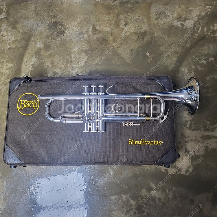 트럼펫 Bach Stradivarius 37(스타벨)--1
