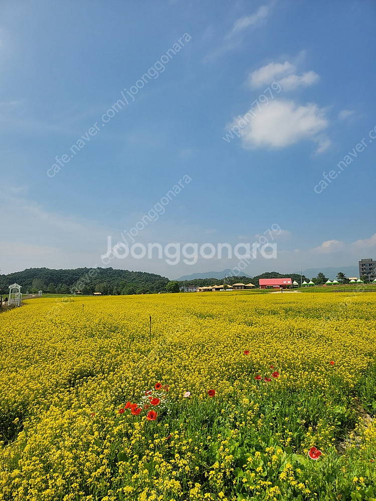 로갈리 구형 1Tb 삽니다--0