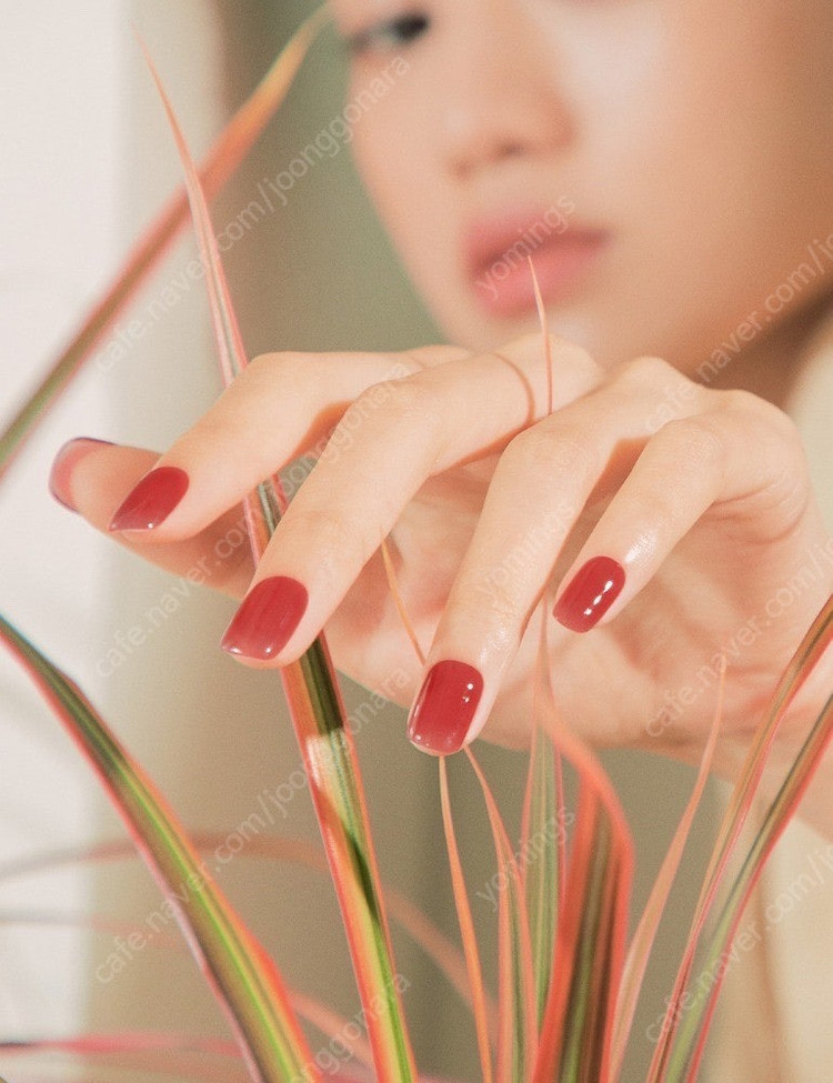 오호라/핑거수트/젤라또팩토리 젤네일, 패디 일괄판매 이미지