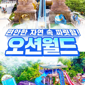 (당일구입가능)홍천오션월드 종일/오후2시입장권~양양/델피노/삼척/변산/단양 오션플레이~소노벨 천안/거제오션어드벤처