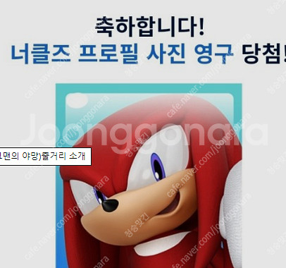 카러플 인기도 1,000만 판매--0