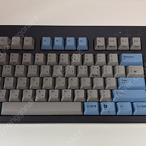 리얼포스 R3 TL BT 그레이 블루 저소음 APC 30g 균등 한글 (R3HDK3) 판매합니다.