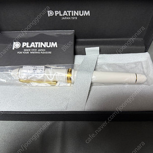 플래티넘 센츄리 슈농소화이트 SF 만년필