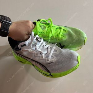 디비에이트 나이트로 엘리트3 235 하이록스