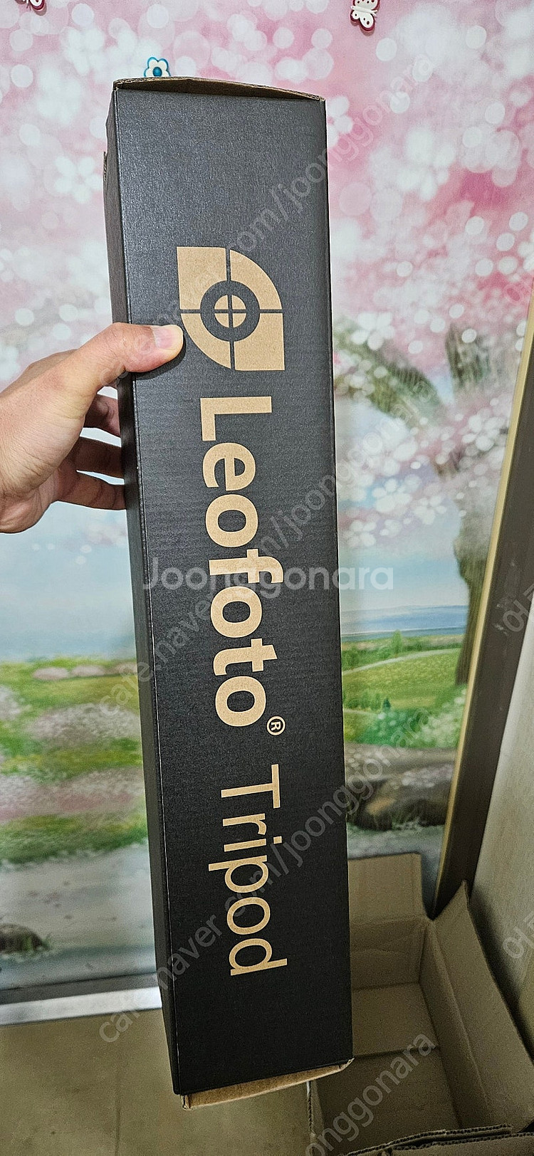 레오포토 삼각대 LY-224C + LH-25R (Yel...--2