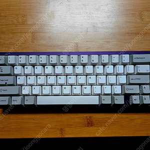 네오65 퍼플 기계식키보드 (neo65)