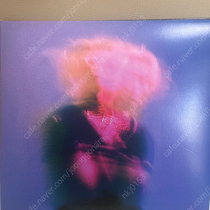 씨잼 킁 lp 일반반