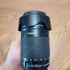 캐논 헝그리 망원 렌즈 DSLR EF-S 55-250mm f 4.5-6 IS STM