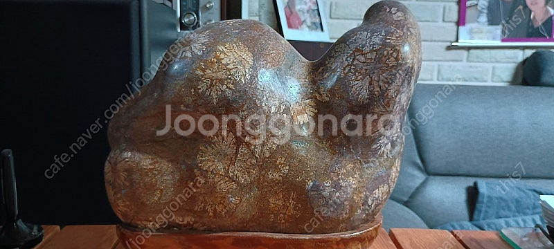 청송꽃돌/나무화석 수석 판매합니다. 청송꽃돌 판매합니다...--1