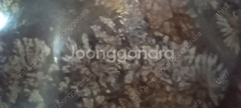 청송꽃돌/나무화석 수석 판매합니다. 청송꽃돌 판매합니다...--3