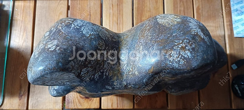 청송꽃돌/나무화석 수석 판매합니다. 청송꽃돌 판매합니다...--5