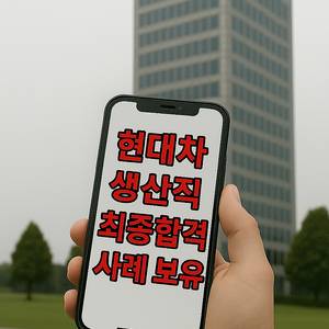 현대차 생산직 자소서 대필 전문! 첨삭, 대필, 대행,컨설팅 24시간 자기소개서 실시간 진행 중