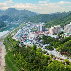 6월7월8월 소노리조트 변산.청송.천안.거제.영덕.단양 양도합니다