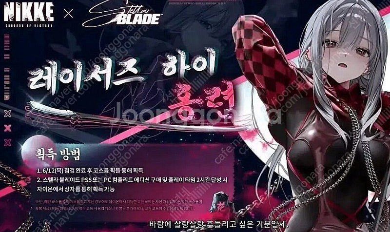 니케 스킨 코드--0