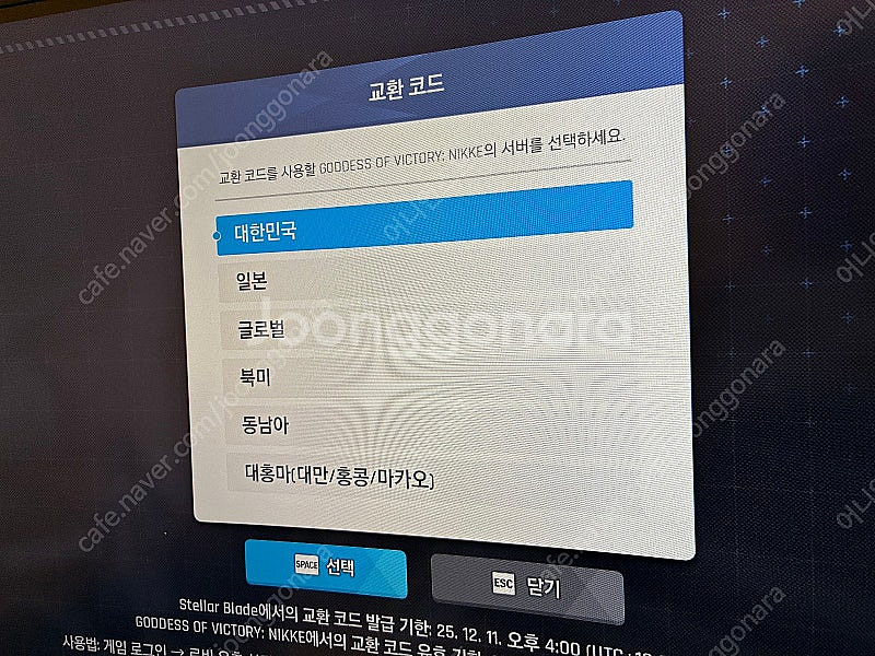 스텔라 블레이드 니케 홍련 스킨 코드 팝니다--1