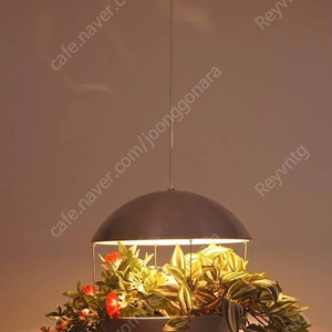 폴 카도비우스 빈티지 조명 RS35 Flower Lamp by Poul Cadovius