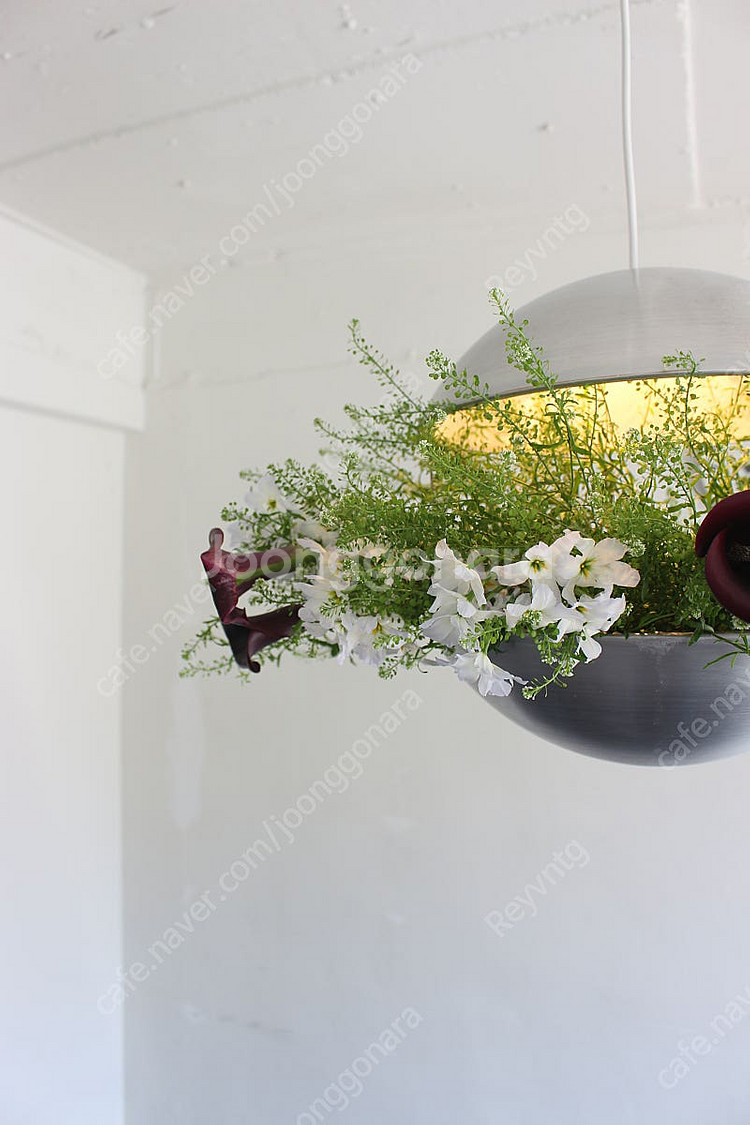 폴 카도비우스 빈티지 조명 RS35 Flower Lam...--4
